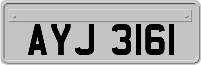 AYJ3161