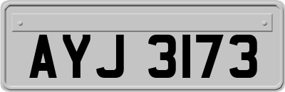 AYJ3173