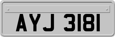 AYJ3181