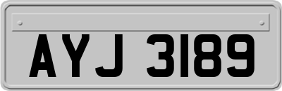 AYJ3189