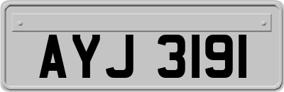 AYJ3191