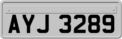 AYJ3289