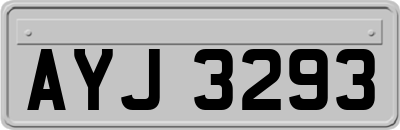 AYJ3293