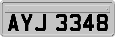 AYJ3348