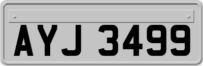 AYJ3499