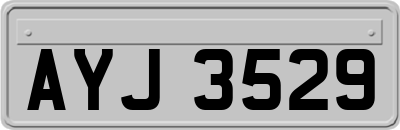 AYJ3529