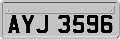 AYJ3596