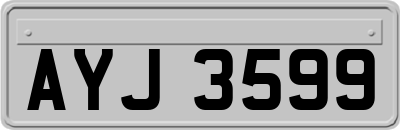 AYJ3599