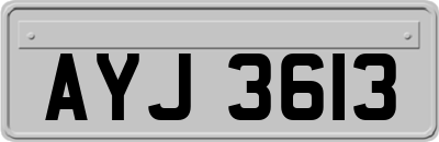 AYJ3613