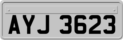 AYJ3623
