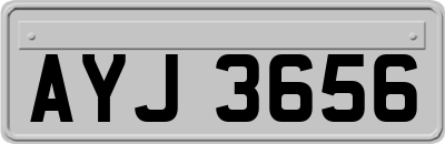 AYJ3656