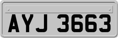 AYJ3663