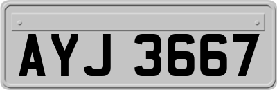 AYJ3667
