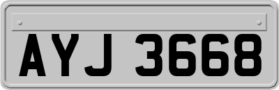 AYJ3668