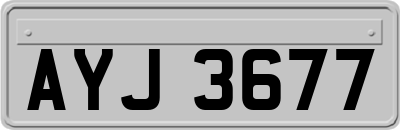 AYJ3677