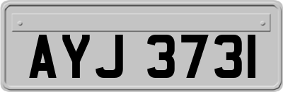 AYJ3731