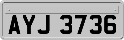 AYJ3736