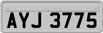 AYJ3775