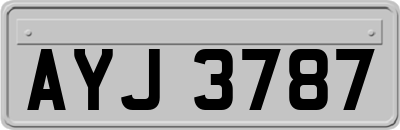 AYJ3787