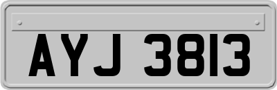 AYJ3813