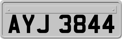 AYJ3844