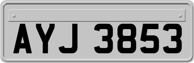 AYJ3853