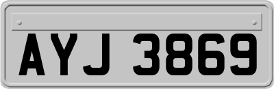 AYJ3869