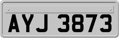 AYJ3873