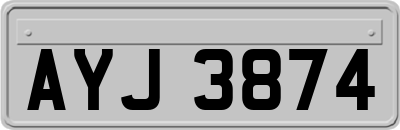 AYJ3874