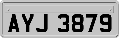 AYJ3879