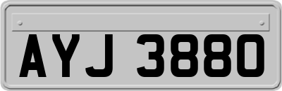AYJ3880