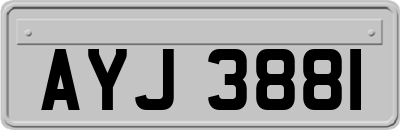 AYJ3881