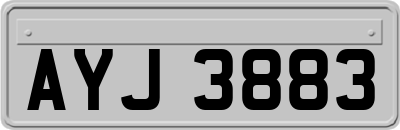 AYJ3883
