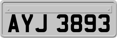 AYJ3893