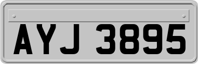 AYJ3895
