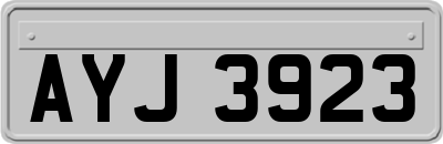 AYJ3923