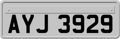 AYJ3929