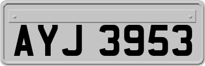 AYJ3953