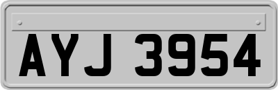 AYJ3954