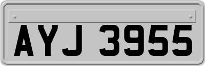 AYJ3955