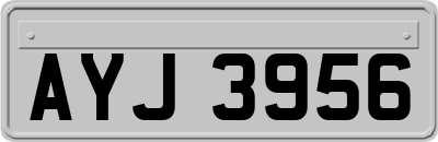 AYJ3956
