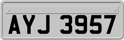 AYJ3957