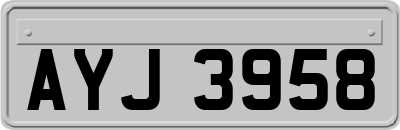 AYJ3958
