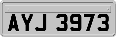 AYJ3973