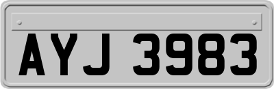 AYJ3983