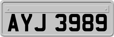 AYJ3989