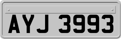 AYJ3993
