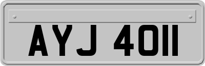 AYJ4011