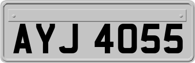 AYJ4055