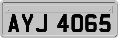 AYJ4065